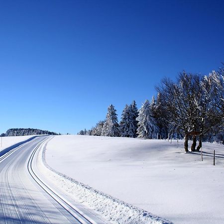 Logis Le Vernay Autrans-Meaudre-en-Vercors Dış mekan fotoğraf